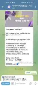 VPNTYPE 2