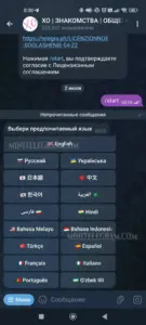 XO ЗНАКОМСТВА 6