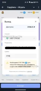 Капибара 6