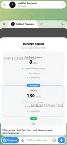 NullVeil Premium 2