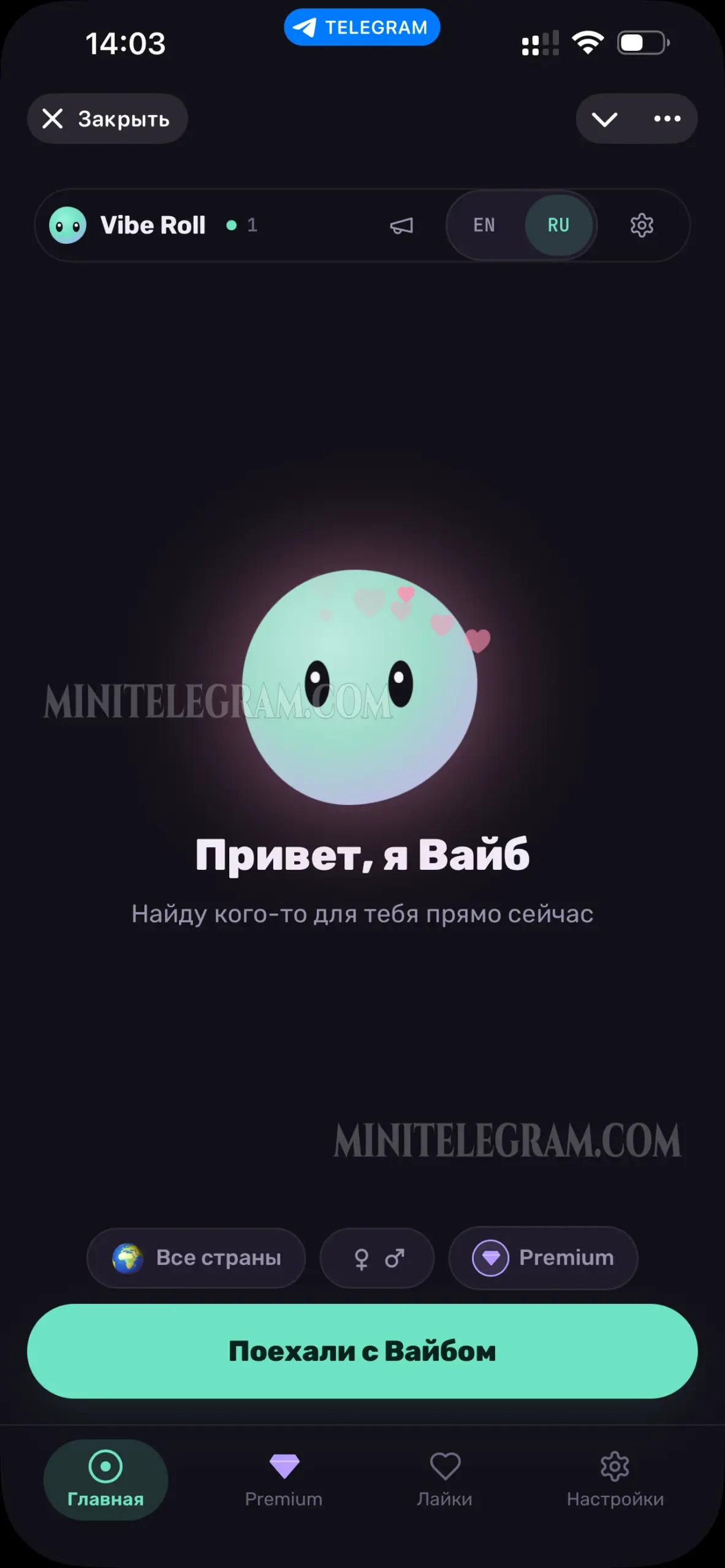 Vibe Roll · чат рулетка 1
