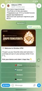 Шишка VPN 1