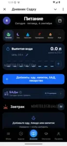 Дневник Садху 1