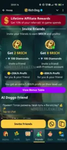 Rich Dog 1