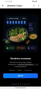 Дневник Садху 2