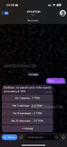 VPN4TON 2