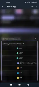 YezBet 6