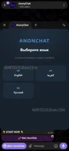 Anonymous Chat — AnonyChat 2