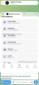 NullVeil Premium 4