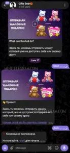 Gifts Bear 1