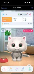 TON Kitties 6