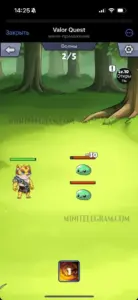 Valor Quest 6