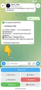 S010_VPN 1