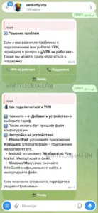 sankoffy.vpn 2