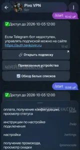 Pivo VPN Bot 1