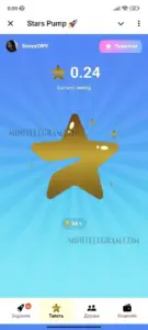 Stars Pump 6