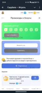 Капибара 5
