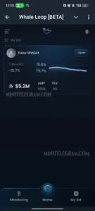 Whale Loop [BETA] 3