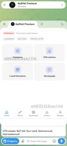 NullVeil Premium 1