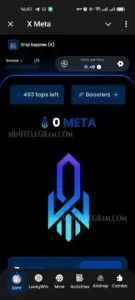 Meta 6