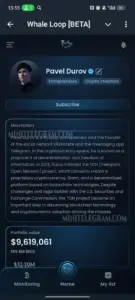 Whale Loop [BETA] 4