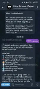 Voice Remover | Separate vocals and music 1