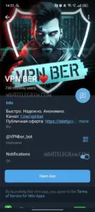 VPN BER ♥️ 4