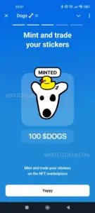 Dogs 3