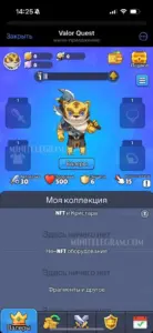 Valor Quest 3