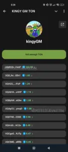 KINGY GM BATTLE 6