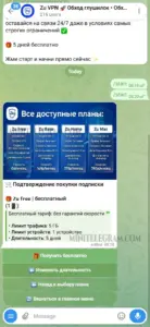 Zu VPN 1