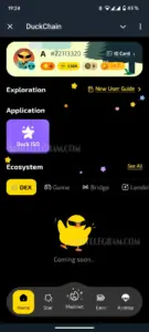 DuckChain 4
