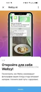 Wellzy AI 3