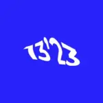 1323vpn