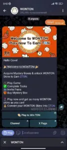 WONTON 1