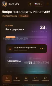 Шарф VPN 1