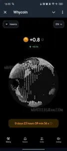 Whycoin 1