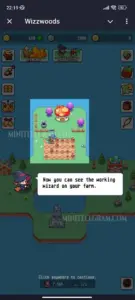 Wizzwoods 2