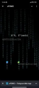 sFOMO 6