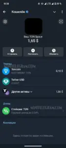 Кошелек Телеграм 4