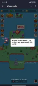 Wizzwoods 3