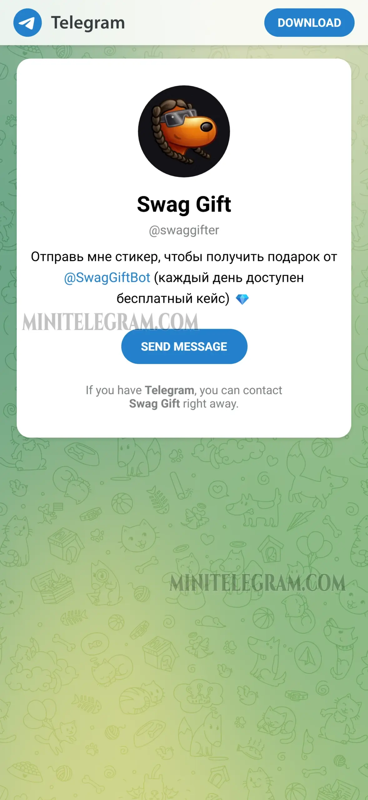 Swag Gift 4