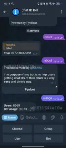Chat ID Bot 1