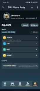 TON Meme Party 5