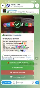 Hotaru VPN 1