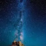 Капибара