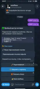 miniPass 1