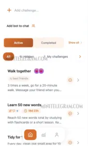 Challenger 1