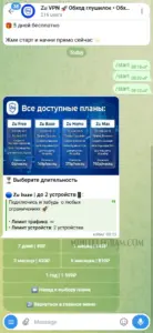 Zu VPN 2
