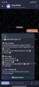 King Wallet 4